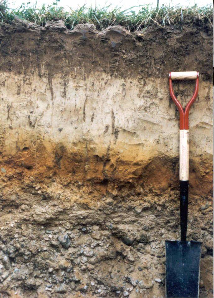 soil profile