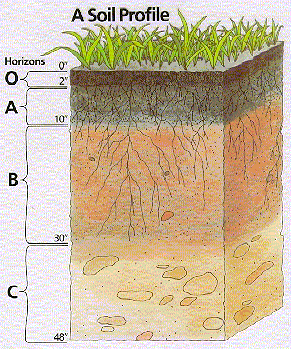 soil profile horizons