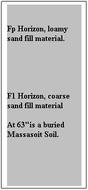 Text Box:  
Fp Horizon, loamy sand fill material.
 
 
F1 Horizon, coarse sand fill material
At 63"is a buried Massasoit Soil.
