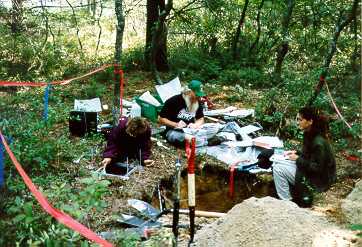 Soil Scientists collecting Soil Samples