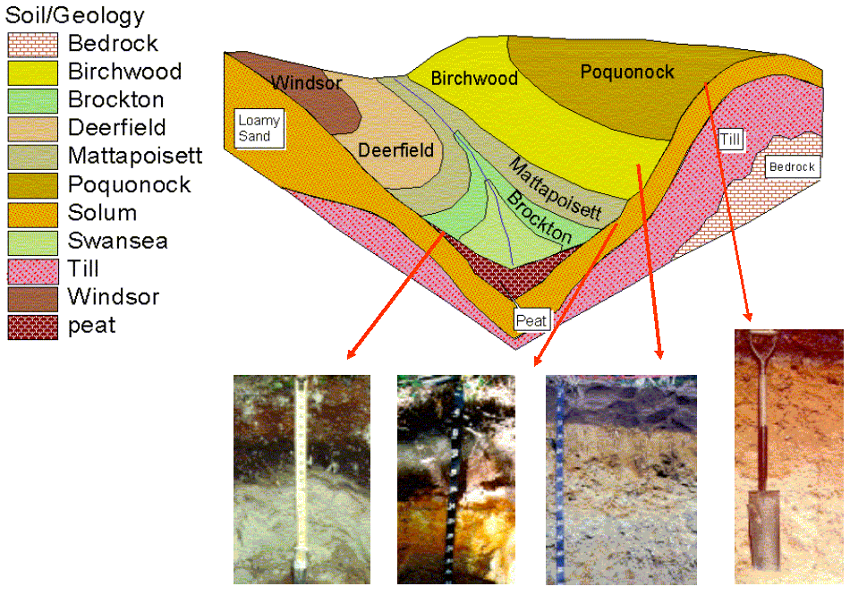 catena soil