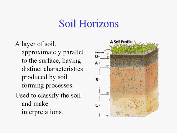 distinct soil horizon definition