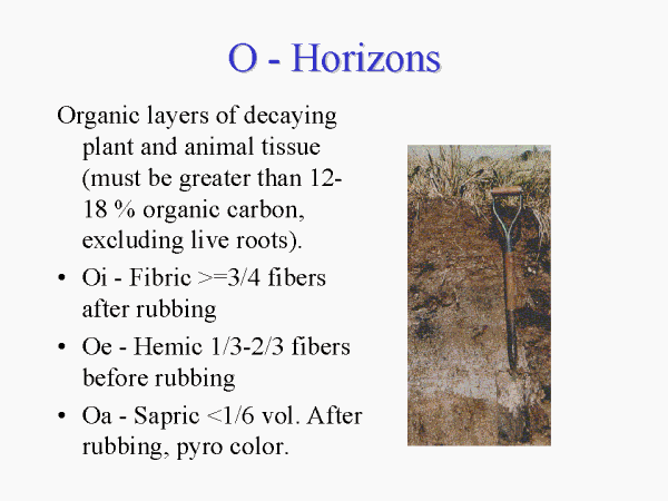 cosmic horizon definition