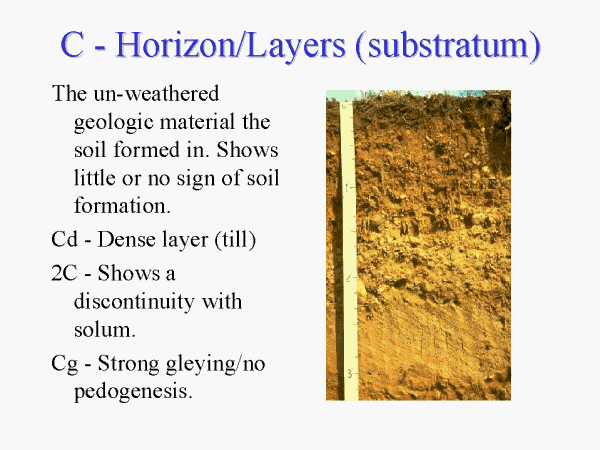 c-horizon-layers-substratum